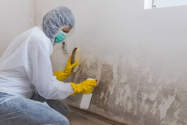 Best Crawl Space Mold Remediation in Isle Of Hope, GA
