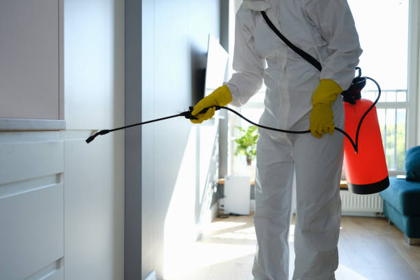 Best HVAC Mold Remediation in Isle Of Hope, GA